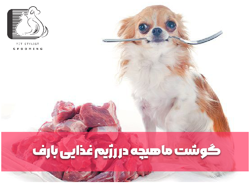 گوشت ماهیچه در رژیم غذایی بارف